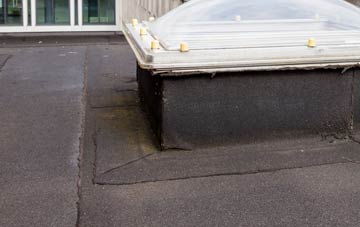 disadvantages of Broad Common flat roofs