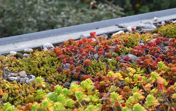 the cost of Broad Common green roof installation