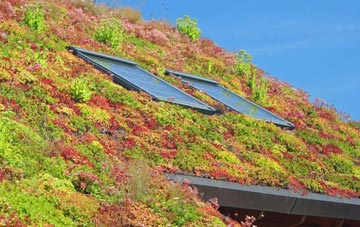 Broad Common living roof systems