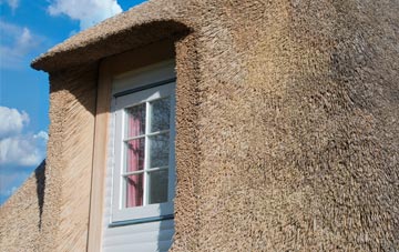Broad Common thatch roof disadvantages