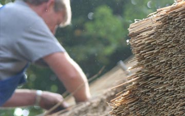 professional Broad Common thatchers