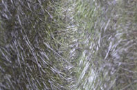 Broad Common fibreglass roof work