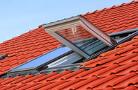 Broad Common roof window